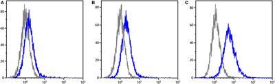 Immunization Strategies Producing a Humoral IgG Immune Response against Devil Facial Tumor Disease in the Majority of Tasmanian Devils Destined for Wild Release